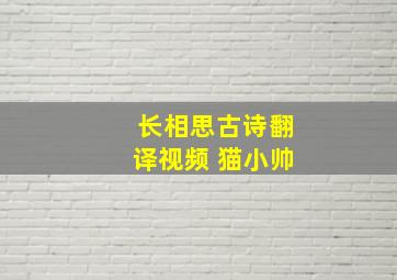 长相思古诗翻译视频 猫小帅